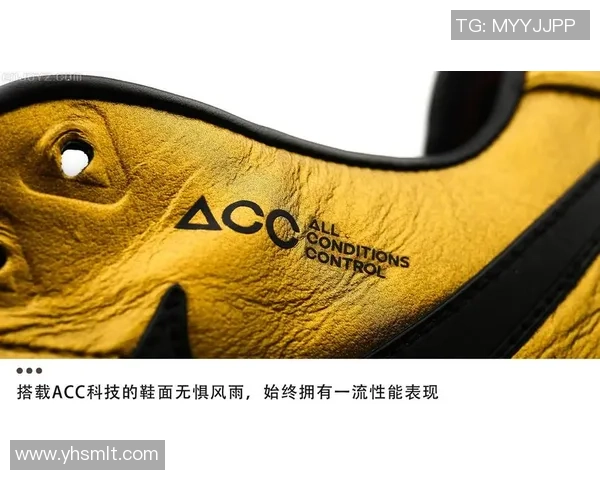 足球明星如何选择阿迪与耐克的品牌之争与运动表现的关系分析